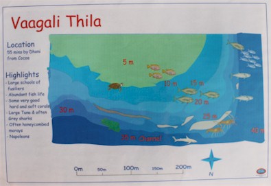 Vaagali Thila